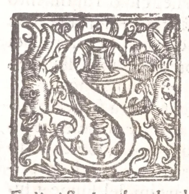An illustration from Il Teuere incatenato, ouero, L'arte di frenar l'acque correnti, 1663, leaf 112