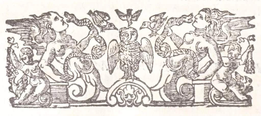 An illustration from Il Teuere incatenato, ouero, L'arte di frenar l'acque correnti, 1663, leaf 112