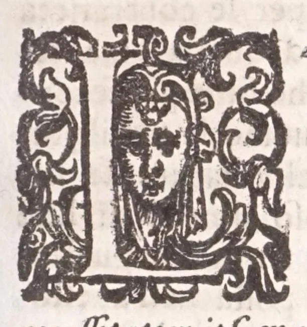 An illustration from Il Teuere incatenato, ouero, L'arte di frenar l'acque correnti, 1663, leaf 113