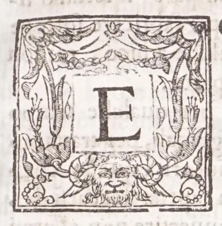 An illustration from Il Teuere incatenato, ouero, L'arte di frenar l'acque correnti, 1663, leaf 13