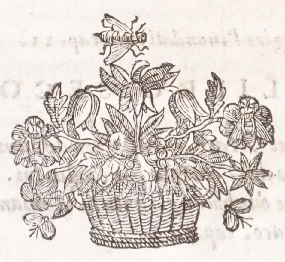An illustration from Il Teuere incatenato, ouero, L'arte di frenar l'acque correnti, 1663, leaf 17