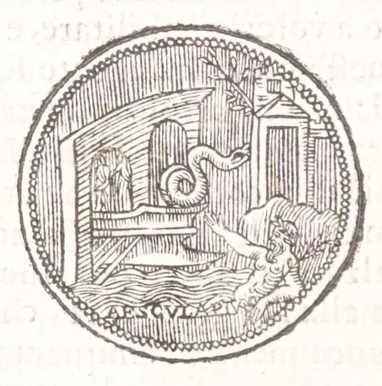 An illustration from Il Teuere incatenato, ouero, L'arte di frenar l'acque correnti, 1663, leaf 176