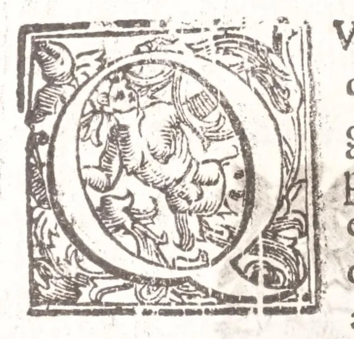 An illustration from Il Teuere incatenato, ouero, L'arte di frenar l'acque correnti, 1663, leaf 188