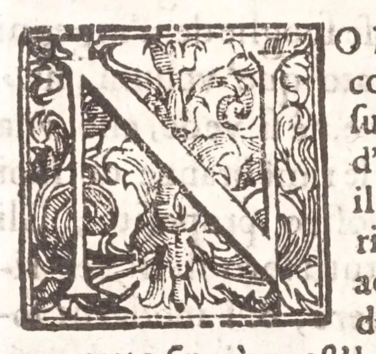An illustration from Il Teuere incatenato, ouero, L'arte di frenar l'acque correnti, 1663, leaf 222