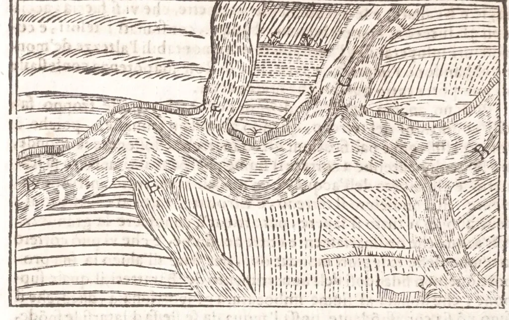 An illustration from Il Teuere incatenato, ouero, L'arte di frenar l'acque correnti, 1663, leaf 224