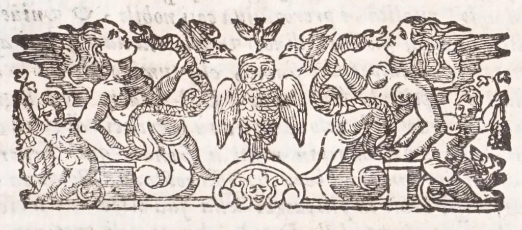 An illustration from Il Teuere incatenato, ouero, L'arte di frenar l'acque correnti, 1663, leaf 23