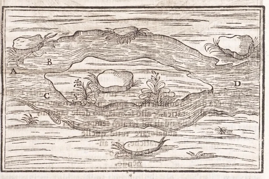 An illustration from Il Teuere incatenato, ouero, L'arte di frenar l'acque correnti, 1663, leaf 309