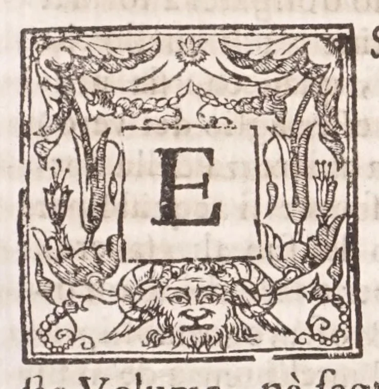 An illustration from Il Teuere incatenato, ouero, L'arte di frenar l'acque correnti, 1663, leaf 381