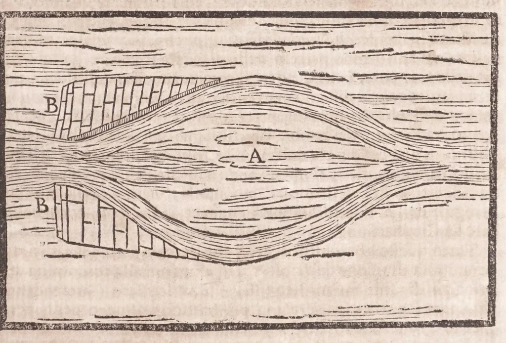 An illustration from Il Teuere incatenato, ouero, L'arte di frenar l'acque correnti, 1663, leaf 387