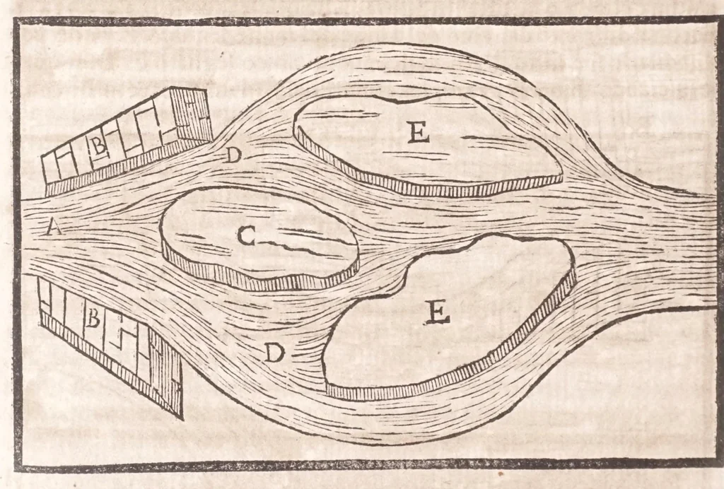An illustration from Il Teuere incatenato, ouero, L'arte di frenar l'acque correnti, 1663, leaf 388