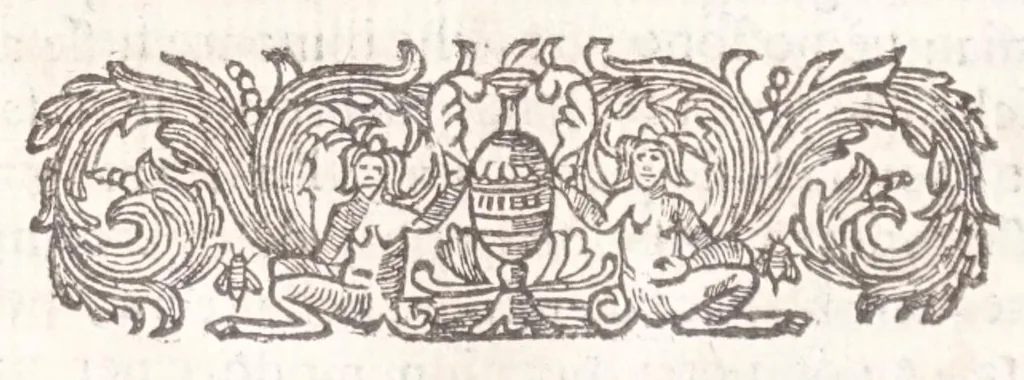 An illustration from Il Teuere incatenato, ouero, L'arte di frenar l'acque correnti, 1663, leaf 56