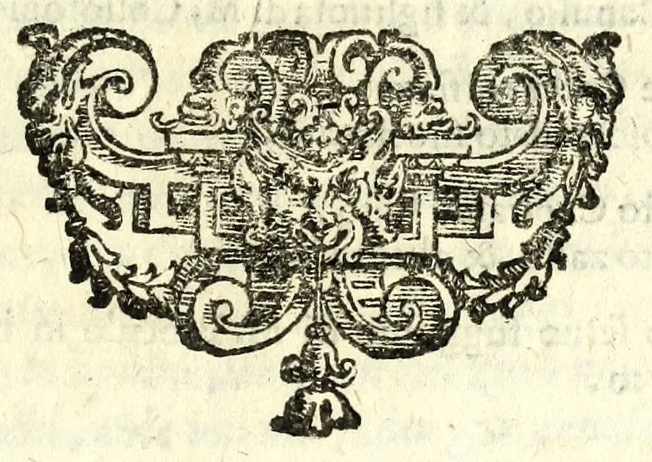 An illustration from Il Travaglia : comedia, 1601, leaf 13