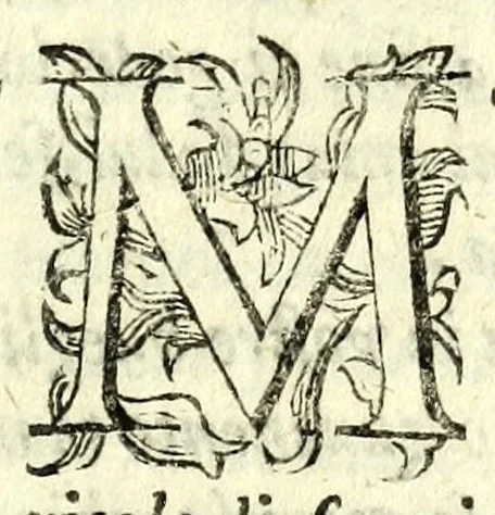 An illustration from Il Travaglia : comedia, 1601, leaf 15