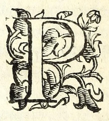 An illustration from Il Travaglia : comedia, 1601, leaf 168