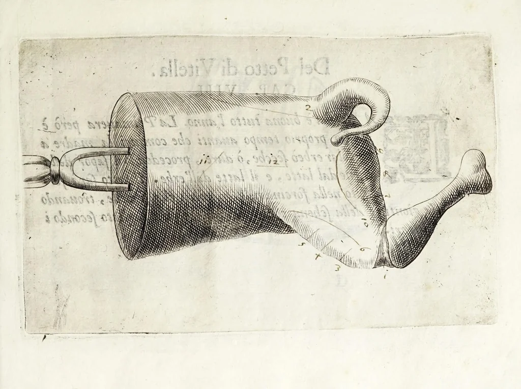 An illustration from Il trinciante, 1636, leaf 29