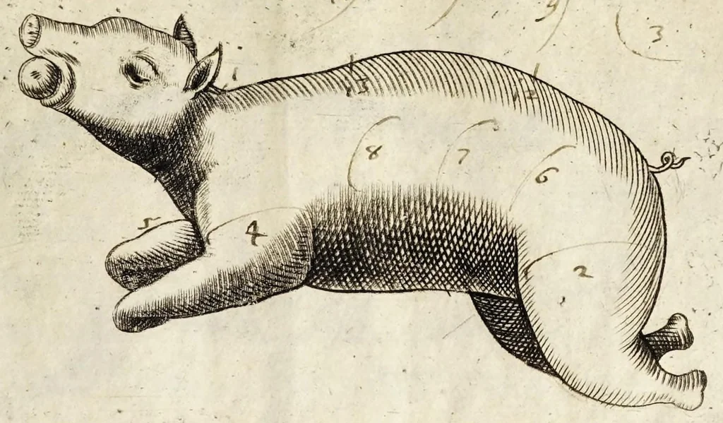 An illustration from Il trinciante, 1636, leaf 43