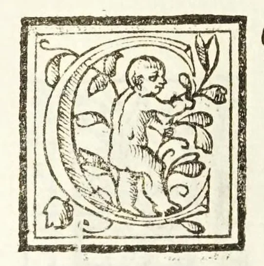 An illustration from Il trinciante, 1636, leaf 48