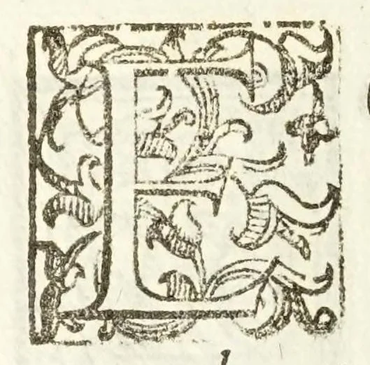 An illustration from Il trinciante, 1636, leaf 50