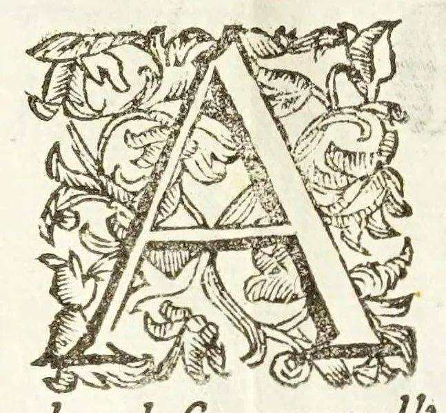 An illustration from Il trinciante, 1636, leaf 66