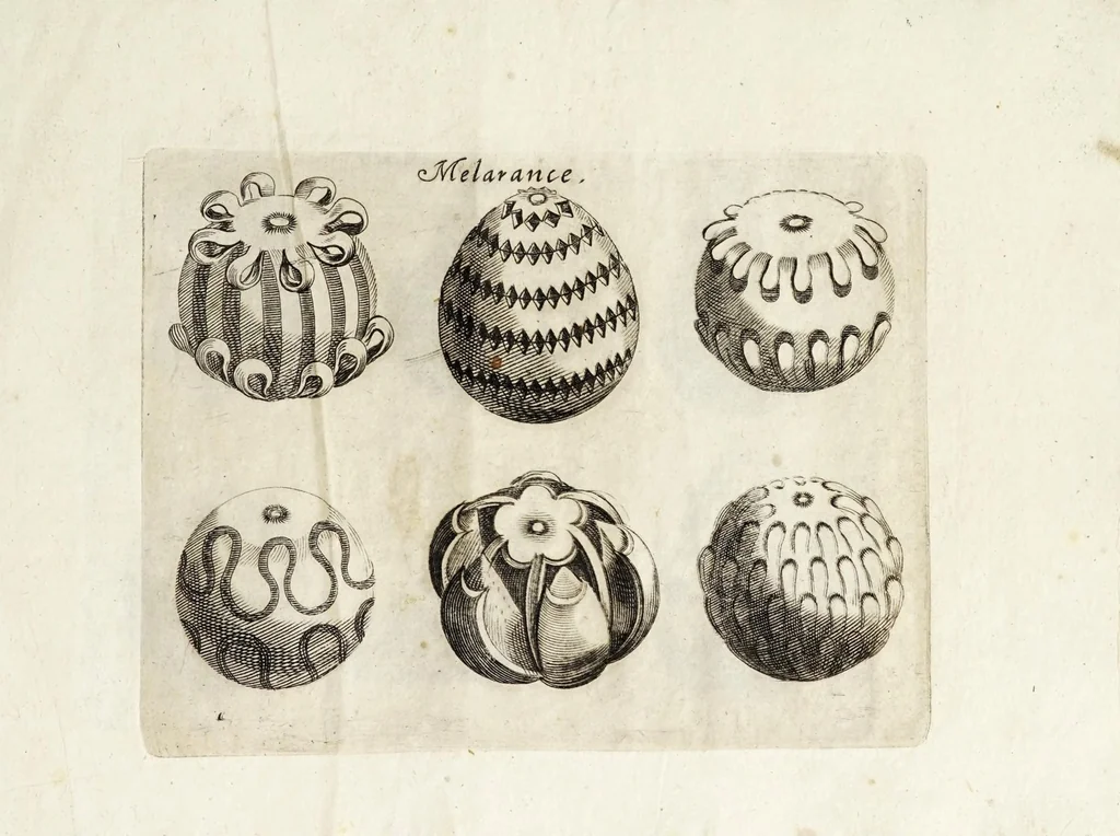 An illustration from Il trinciante, 1636, leaf 87