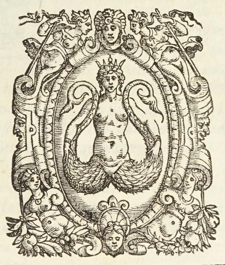 An illustration from Il trinciante di M. Vincenzo Ceruio : ampliato, et ridotto a perfettione dal caualier Reale Fusoritto da Narni già trinciante dell'illust.mo & reuerendissimo signor cardinal Farnese : con vna bellissima aggiunta fatta nouamente dall'istesso caualier Reale, 1593, leaf 101