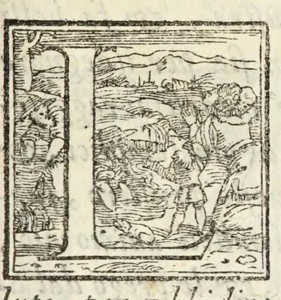 An illustration from Il trinciante di M. Vincenzo Ceruio : ampliato, et ridotto a perfettione dal caualier Reale Fusoritto da Narni già trinciante dell'illust.mo & reuerendissimo signor cardinal Farnese : con vna bellissima aggiunta fatta nouamente dall'istesso caualier Reale, 1593, leaf 103