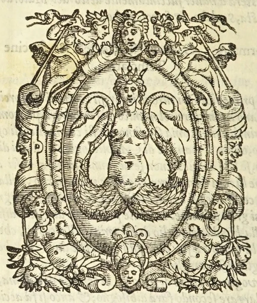 An illustration from Il trinciante di M. Vincenzo Ceruio : ampliato, et ridotto a perfettione dal caualier Reale Fusoritto da Narni già trinciante dell'illust.mo & reuerendissimo signor cardinal Farnese : con vna bellissima aggiunta fatta nouamente dall'istesso caualier Reale, 1593, leaf 148