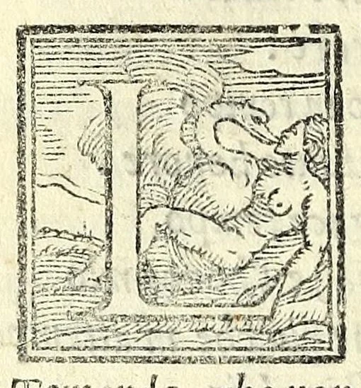 An illustration from Il triompho, 1558, leaf 28