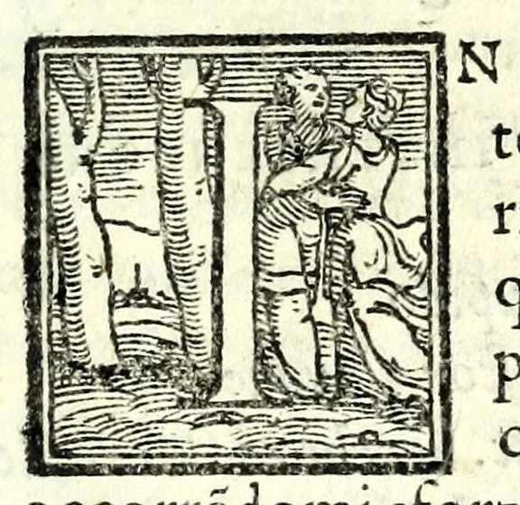 An illustration from Il triompho, 1558, leaf 43