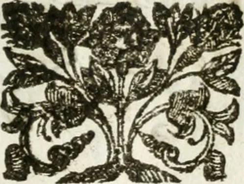 An illustration from Il trionfo della Pace per le fascie del serenissimo principe delle Spagne : dramma musicale, 1658, leaf 12