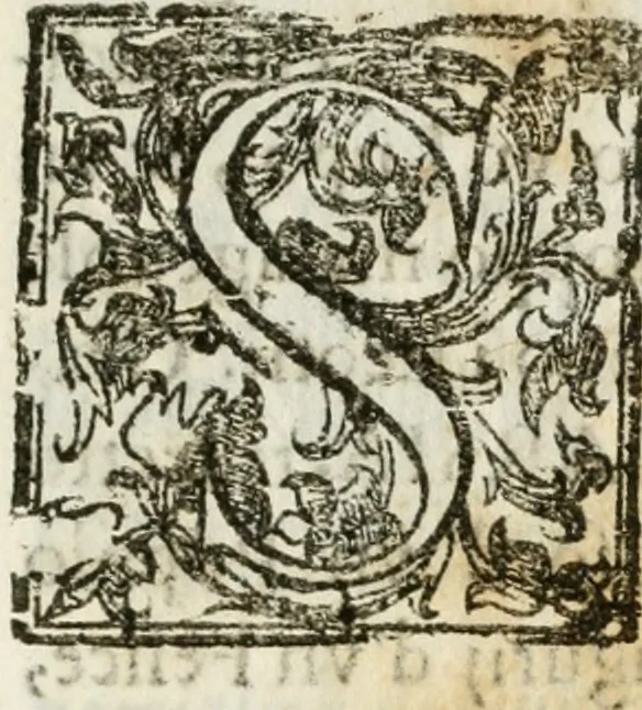 An illustration from Il trionfo della Pace per le fascie del serenissimo principe delle Spagne : dramma musicale, 1658, leaf 4