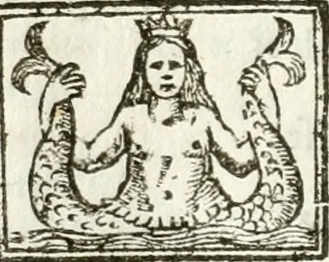 An illustration from Il trionfo della Pace per le fascie del serenissimo principe delle Spagne : dramma musicale, 1658, leaf 41