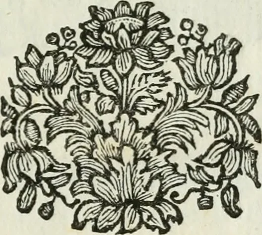 An illustration from Il trionfo delle bell'arti : renduto gloriosissimo sotto gli auspicj delle LL. AA. RR. Pietro Leopoldo, arciduca d'Austria, principe reale d'Ungheria, e di Boemia, granduca di Toscana ec. ec. ec. e Maria Luisa di Borbone, arciduchessa d'Austria, gran-duchessa di Toscana ec. ec. ec. in occasione, che gli accademici del disegno in dimostrazione di profondo rispetto verso i loro sovrani, fanno la solenne mostra delle opere antiche di più eccellenti artefici nella propria cappella, e nel chiostro secondo de' PP. della SS. Nonziata in Firenze l'anno 1767, 1767, leaf 16