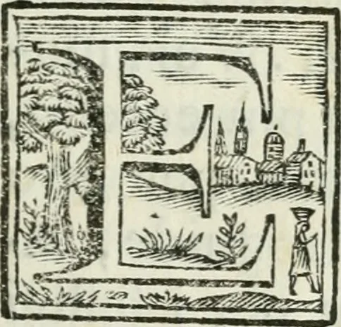 An illustration from Il trionfo delle bell'arti : renduto gloriosissimo sotto gli auspicj delle LL. AA. RR. Pietro Leopoldo, arciduca d'Austria, principe reale d'Ungheria, e di Boemia, granduca di Toscana ec. ec. ec. e Maria Luisa di Borbone, arciduchessa d'Austria, gran-duchessa di Toscana ec. ec. ec. in occasione, che gli accademici del disegno in dimostrazione di profondo rispetto verso i loro sovrani, fanno la solenne mostra delle opere antiche di più eccellenti artefici nella propria cappella, e nel chiostro secondo de' PP. della SS. Nonziata in Firenze l'anno 1767, 1767, leaf 24