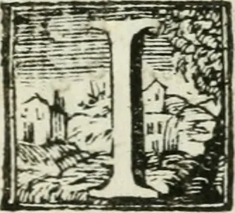 An illustration from Il trionfo delle bell'arti : renduto gloriosissimo sotto gli auspicj delle LL. AA. RR. Pietro Leopoldo, arciduca d'Austria, principe reale d'Ungheria, e di Boemia, granduca di Toscana ec. ec. ec. e Maria Luisa di Borbone, arciduchessa d'Austria, gran-duchessa di Toscana ec. ec. ec. in occasione, che gli accademici del disegno in dimostrazione di profondo rispetto verso i loro sovrani, fanno la solenne mostra delle opere antiche di più eccellenti artefici nella propria cappella, e nel chiostro secondo de' PP. della SS. Nonziata in Firenze l'anno 1767, 1767, leaf 62