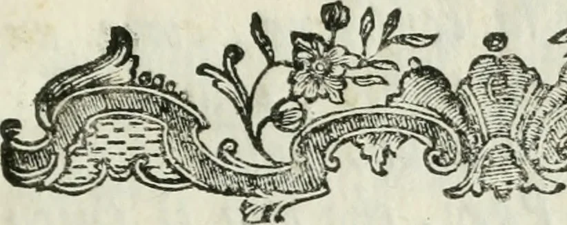An illustration from Il trionfo delle bell'arti : renduto gloriosissimo sotto gli auspicj delle LL. AA. RR. Pietro Leopoldo, arciduca d'Austria, principe reale d'Ungheria, e di Boemia, granduca di Toscana ec. ec. ec. e Maria Luisa di Borbone, arciduchessa d'Austria, gran-duchessa di Toscana ec. ec. ec. in occasione, che gli accademici del disegno in dimostrazione di profondo rispetto verso i loro sovrani, fanno la solenne mostra delle opere antiche di più eccellenti artefici nella propria cappella, e nel chiostro secondo de' PP. della SS. Nonziata in Firenze l'anno 1767, 1767, leaf 8