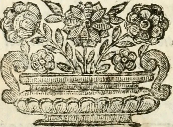 An illustration from Il trionfo di Maria Vergine Nostra Signora, Regina de'Cieli, Imperadrice de gli Angeli : machina in guisa di carro trionfale eretta à gloria della sudetta Madre di Dio dalla decana delle compagnie spirituali della città di Reggio, l'Arciconfraternità della Visitazione presso S. Agostino : in occasione della pubblica solenne coronazione della miracolosa imagine della Madonna detta della Ghiara, 1674, leaf 23