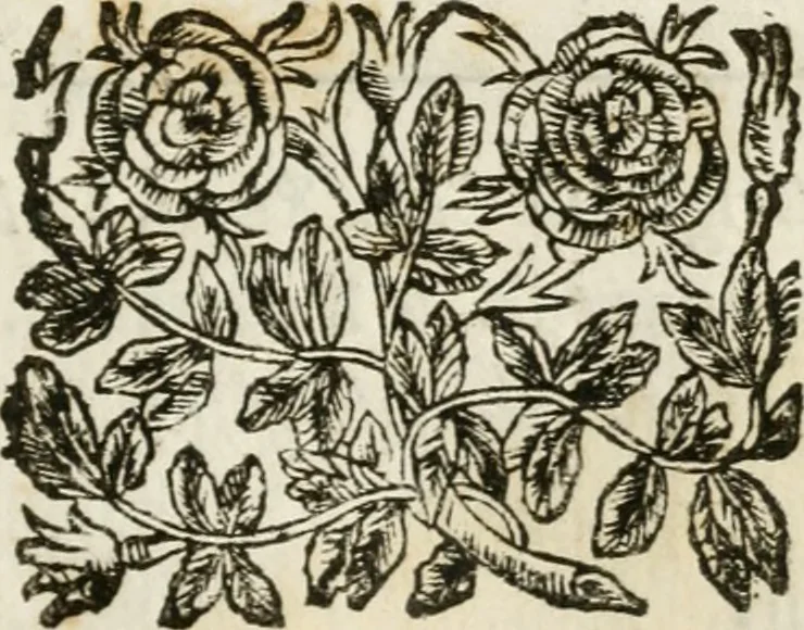 An illustration from Il trionfo di Maria Vergine Nostra Signora, Regina de'Cieli, Imperadrice de gli Angeli : machina in guisa di carro trionfale eretta à gloria della sudetta Madre di Dio dalla decana delle compagnie spirituali della città di Reggio, l'Arciconfraternità della Visitazione presso S. Agostino : in occasione della pubblica solenne coronazione della miracolosa imagine della Madonna detta della Ghiara, 1674, leaf 34