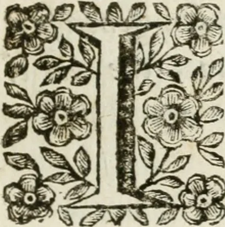 An illustration from Il trionfo di Maria Vergine Nostra Signora, Regina de'Cieli, Imperadrice de gli Angeli : machina in guisa di carro trionfale eretta à gloria della sudetta Madre di Dio dalla decana delle compagnie spirituali della città di Reggio, l'Arciconfraternità della Visitazione presso S. Agostino : in occasione della pubblica solenne coronazione della miracolosa imagine della Madonna detta della Ghiara, 1674, leaf 6