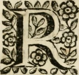 An illustration from Il trionfo di Maria Vergine Nostra Signora, Regina de'Cieli, Imperadrice de gli Angeli : machina in guisa di carro trionfale eretta à gloria della sudetta Madre di Dio dalla decana delle compagnie spirituali della città di Reggio, l'Arciconfraternità della Visitazione presso S. Agostino : in occasione della pubblica solenne coronazione della miracolosa imagine della Madonna detta della Ghiara, 1674, leaf 8