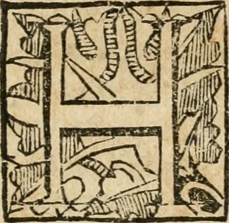 An illustration from Il trionfo di S. Domenico, protettore della città di Napoli e di tutt'il suo regno, 1644, leaf 106