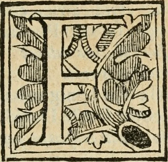 An illustration from Il trionfo di S. Domenico, protettore della città di Napoli e di tutt'il suo regno, 1644, leaf 236