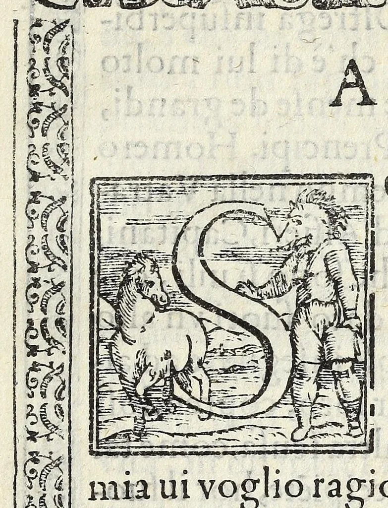 An illustration from Il vermicello dalla seta, del Corsvccio da Sascorbaro : nvovamente venuto in luce, 1581, leaf 13