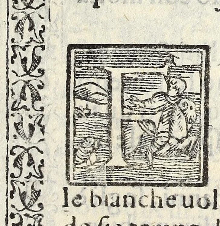 An illustration from Il vermicello dalla seta, del Corsvccio da Sascorbaro : nvovamente venuto in luce, 1581, leaf 33