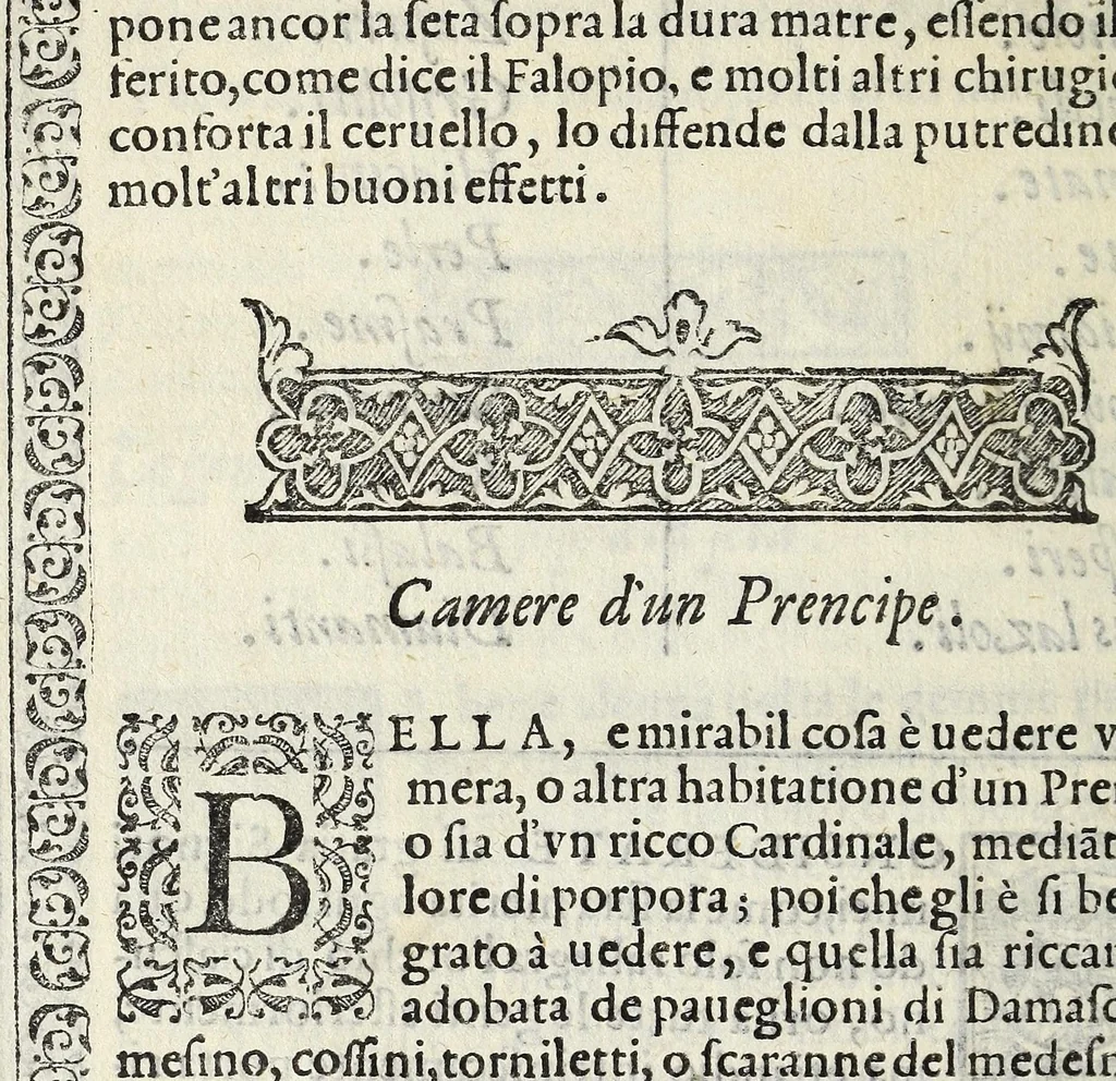 An illustration from Il vermicello dalla seta, del Corsvccio da Sascorbaro : nvovamente venuto in luce, 1581, leaf 90