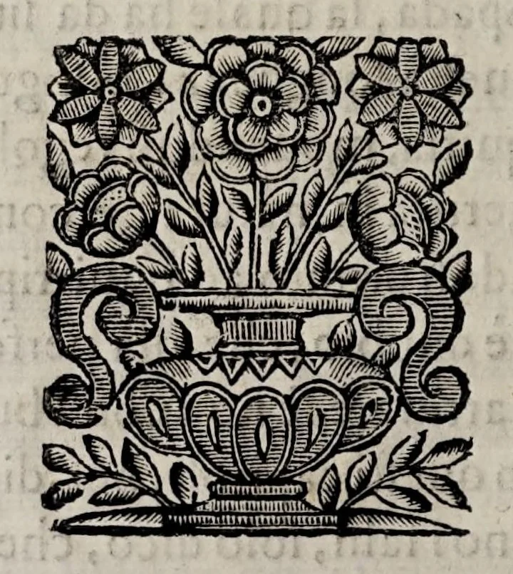 An illustration from Il vero maneggio di spada, 1660, leaf 66