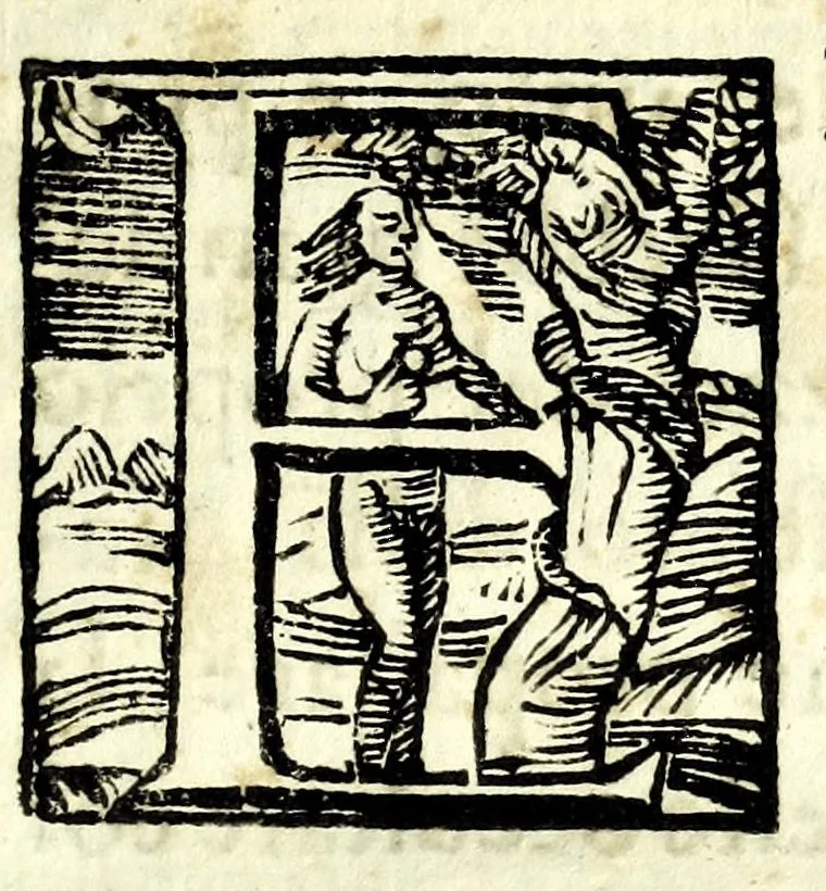 An illustration from Il vero riparo, il facile, il naturale : per ouuiare ò rimediare ogni corrosione e ruina di fiume e torrente, abbenche giudicata irremediabile : dottrina prattica ... esposta a beneficio di tutti i simili danneggiati, e massime della città di Cremona, sotto gli assalti del Pò ormai disperata, e cadente, 1685, leaf 15