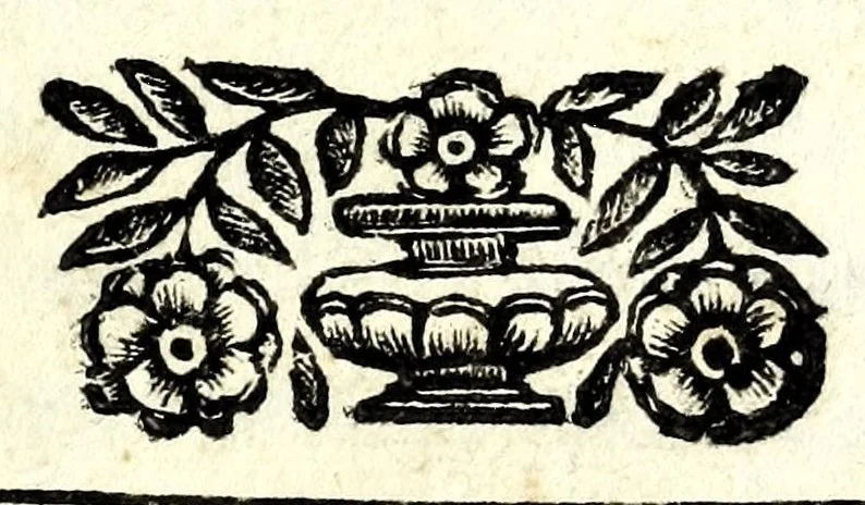An illustration from Il vero riparo, il facile, il naturale : per ouuiare ò rimediare ogni corrosione e ruina di fiume e torrente, abbenche giudicata irremediabile : dottrina prattica ... esposta a beneficio di tutti i simili danneggiati, e massime della città di Cremona, sotto gli assalti del Pò ormai disperata, e cadente, 1685, leaf 3