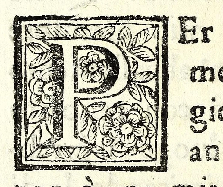 An illustration from Il vero riparo, il facile, il naturale : per ouuiare ò rimediare ogni corrosione e ruina di fiume e torrente, abbenche giudicata irremediabile : dottrina prattica ... esposta a beneficio di tutti i simili danneggiati, e massime della città di Cremona, sotto gli assalti del Pò ormai disperata, e cadente, 1685, leaf 58