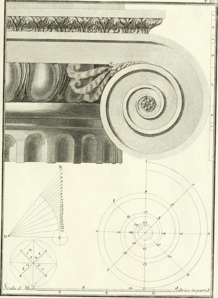 An illustration from Il Vignola illustrato, 1770, leaf 114